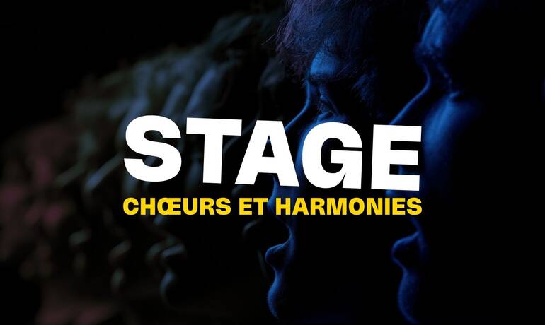 hangar-1500-stages-HARMONIE-mpambou-261012.jpg